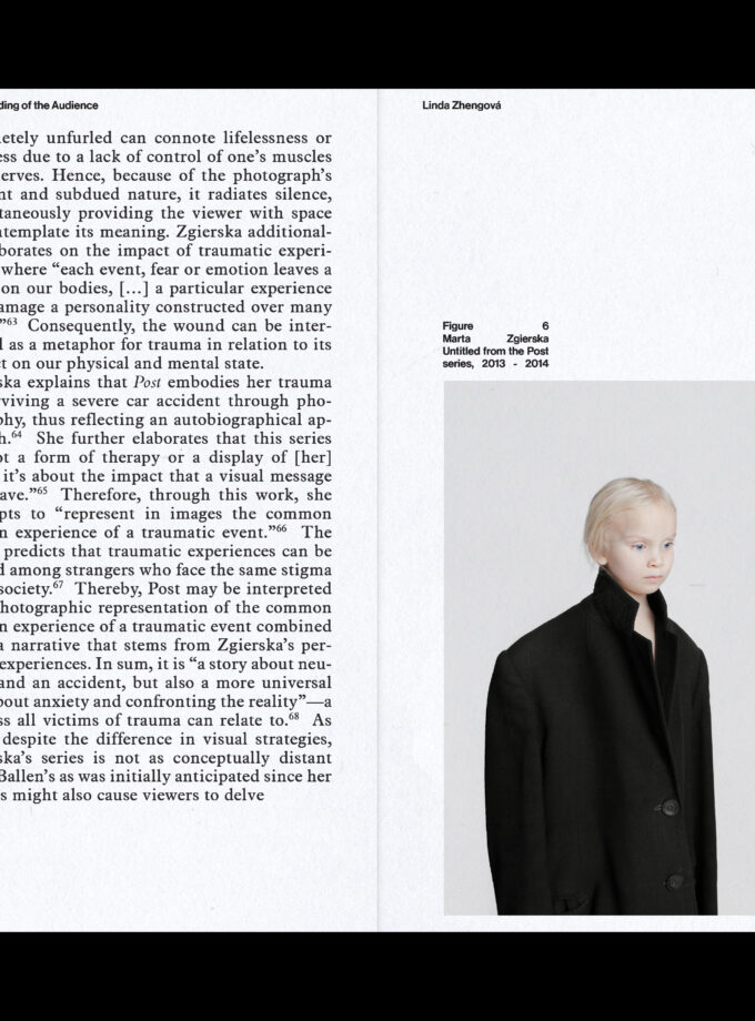 The Ambiguity of Visual Representations of Trauma (online)