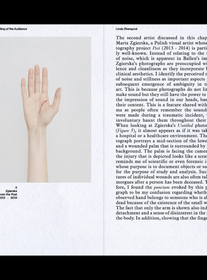 The Ambiguity of Visual Representations of Trauma (online)