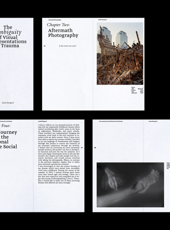The Ambiguity of Visual Representations of Trauma (online)